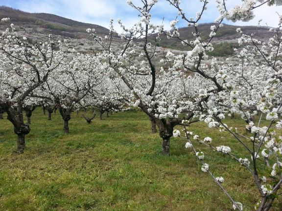 Valle del Jerte en autocaravana